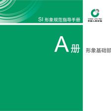 中国人寿财险公司SI设计 品牌形象规范手册与企业形象策划服务